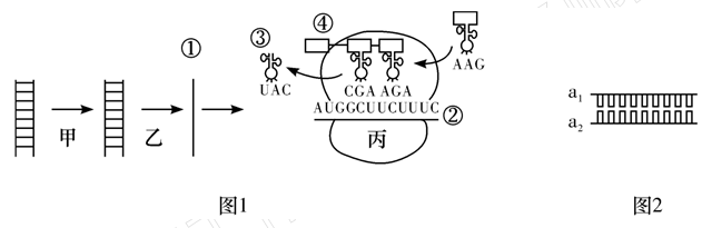 Yangzhong Teaching Studio