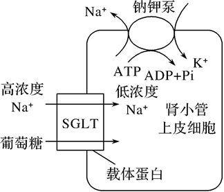 Yangzhong Teaching Studio