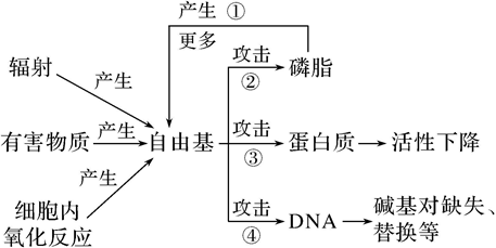 Yangzhong Teaching Studio