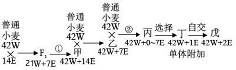 Yangzhong Teaching Studio