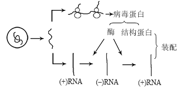 Yangzhong Teaching Studio