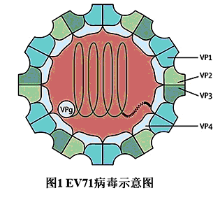 Yangzhong Teaching Studio