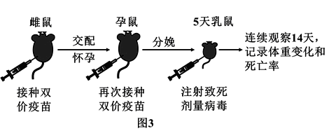 Yangzhong Teaching Studio