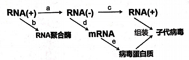 Yangzhong Teaching Studio