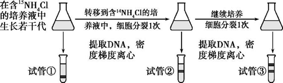 Yangzhong Teaching Studio