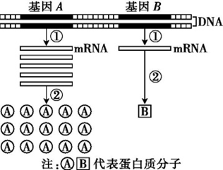 Yangzhong Teaching Studio