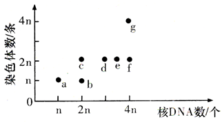 Yangzhong Teaching Studio