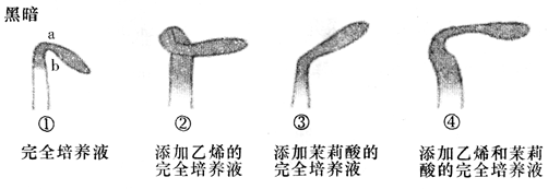 Yangzhong Teaching Studio