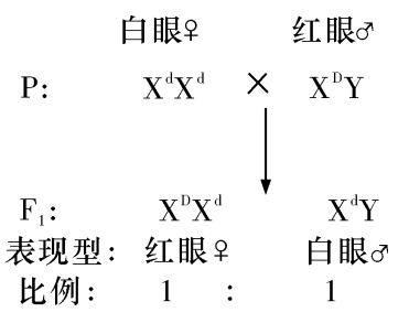 Yangzhong Teaching Studio