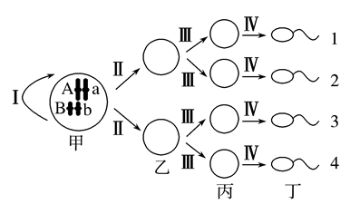 Yangzhong Teaching Studio