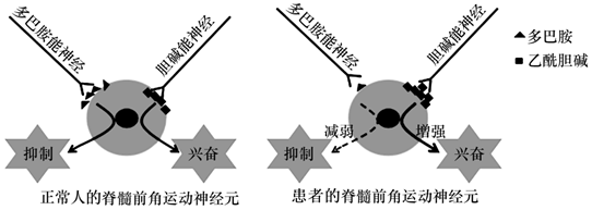 Yangzhong Teaching Studio