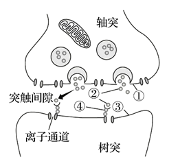 Yangzhong Teaching Studio