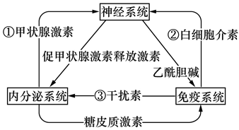 Yangzhong Teaching Studio