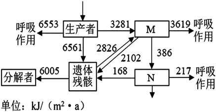 Yangzhong Teaching Studio