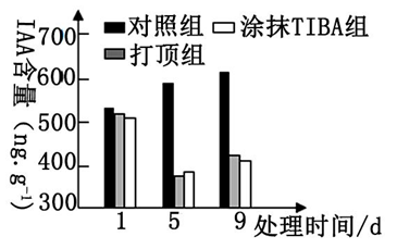 Yangzhong Teaching Studio