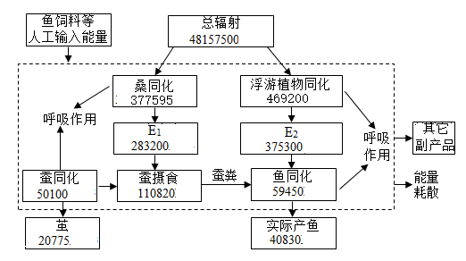 Yangzhong Teaching Studio