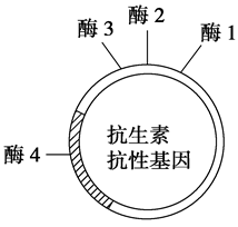 Yangzhong Teaching Studio