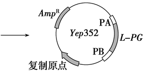 Yangzhong Teaching Studio