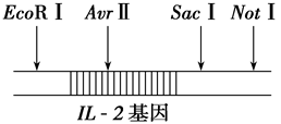 Yangzhong Teaching Studio