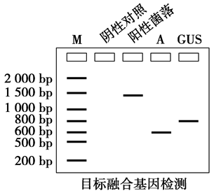 Yangzhong Teaching Studio