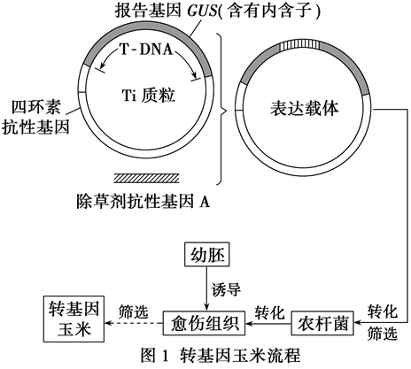 Yangzhong Teaching Studio