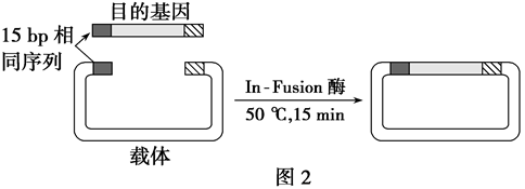 Yangzhong Teaching Studio