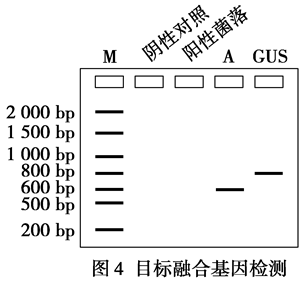 Yangzhong Teaching Studio