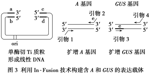 Yangzhong Teaching Studio