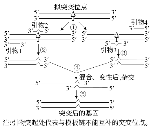 Yangzhong Teaching Studio