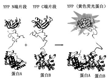 Yangzhong Teaching Studio