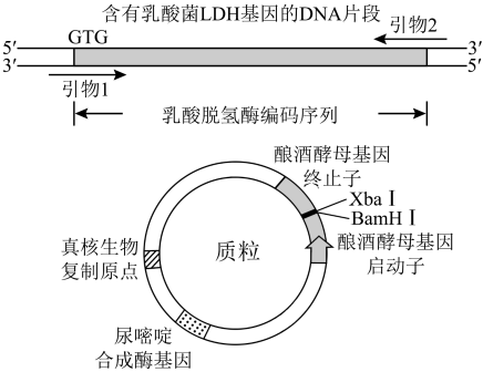 Yangzhong Teaching Studio