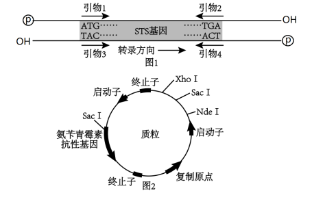 Yangzhong Teaching Studio