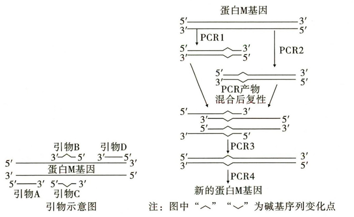 Yangzhong Teaching Studio