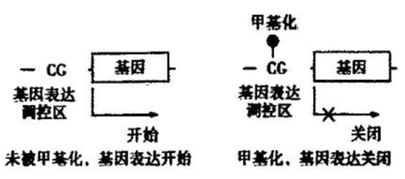 Yangzhong Teaching Studio