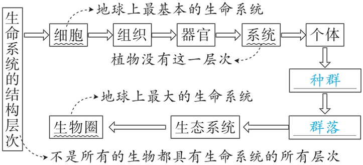 Yangzhong Teaching Studio