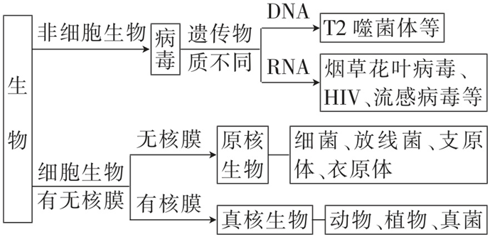 Yangzhong Teaching Studio