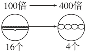 Yangzhong Teaching Studio