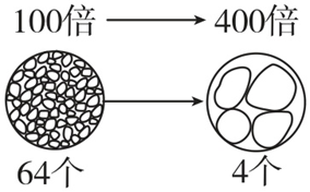 Yangzhong Teaching Studio