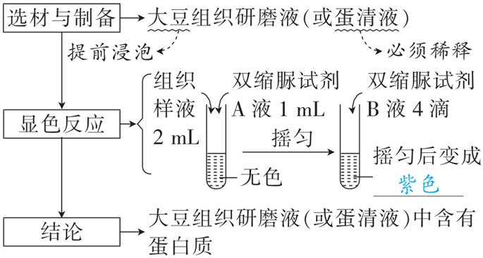 Yangzhong Teaching Studio