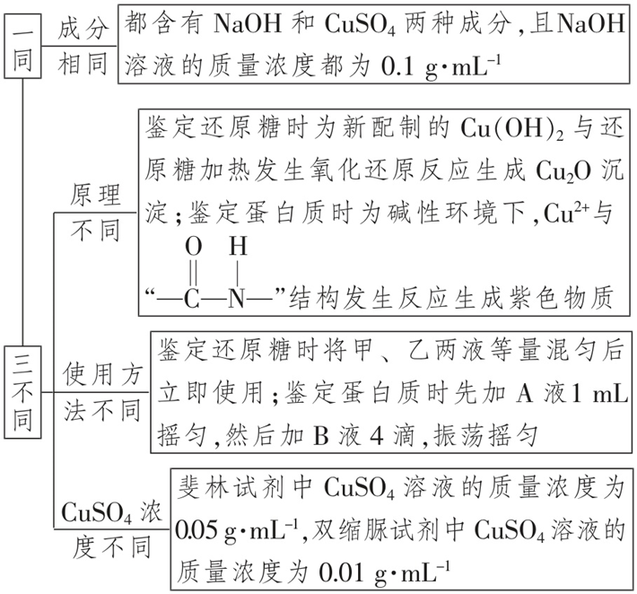 Yangzhong Teaching Studio