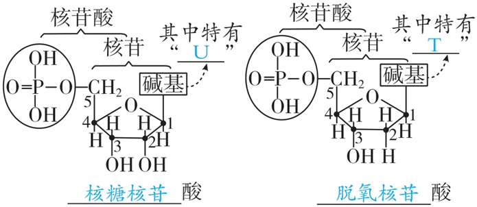 Yangzhong Teaching Studio