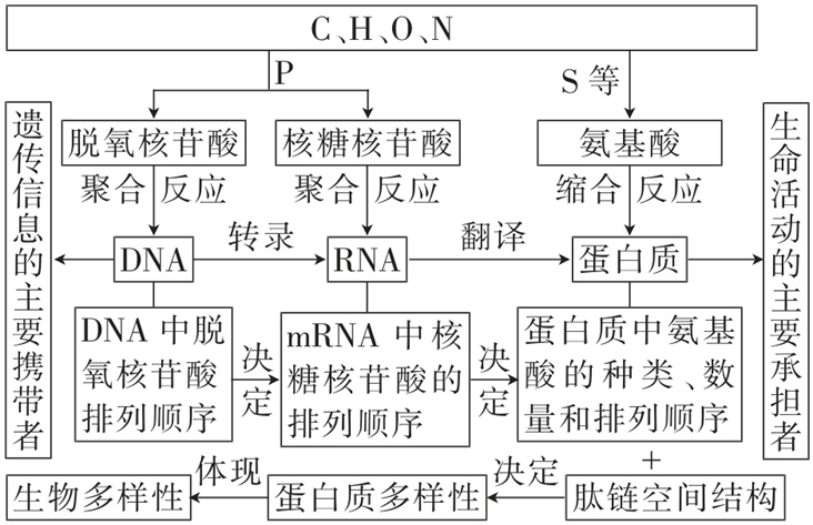 Yangzhong Teaching Studio