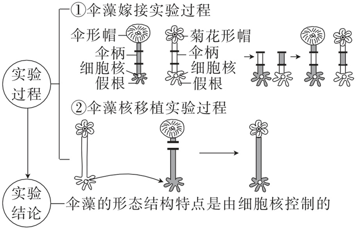 Yangzhong Teaching Studio