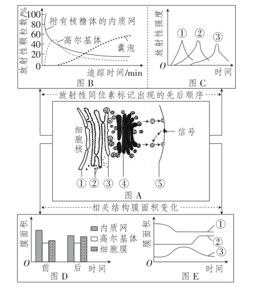 Yangzhong Teaching Studio