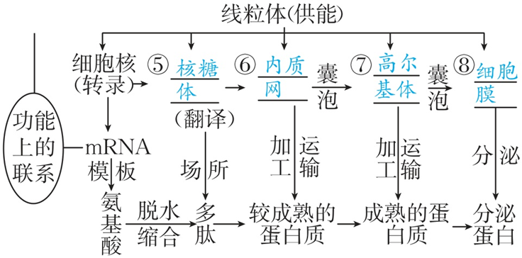 Yangzhong Teaching Studio