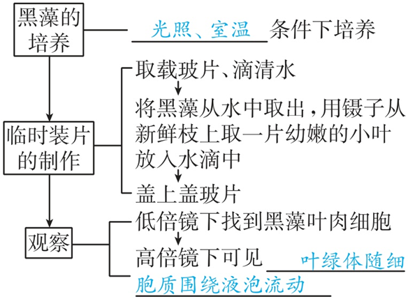 Yangzhong Teaching Studio