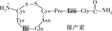 Yangzhong Teaching Studio