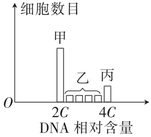 Yangzhong Teaching Studio