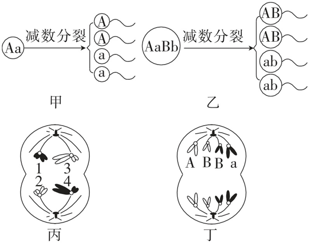 Yangzhong Teaching Studio