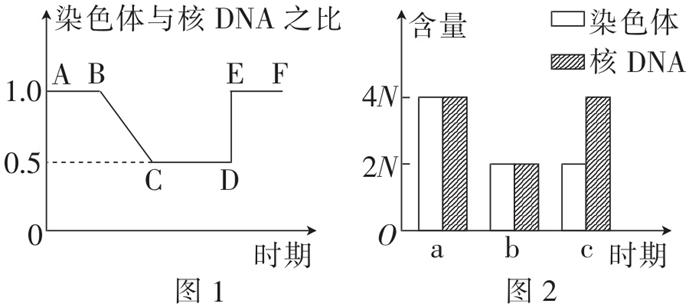 Yangzhong Teaching Studio